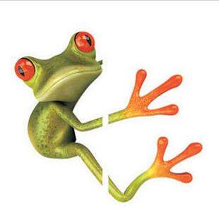 3D立体感汽车贴纸 搞笑卡通青蛙车贴避祸 壁虎车贴 逼真个性贴纸