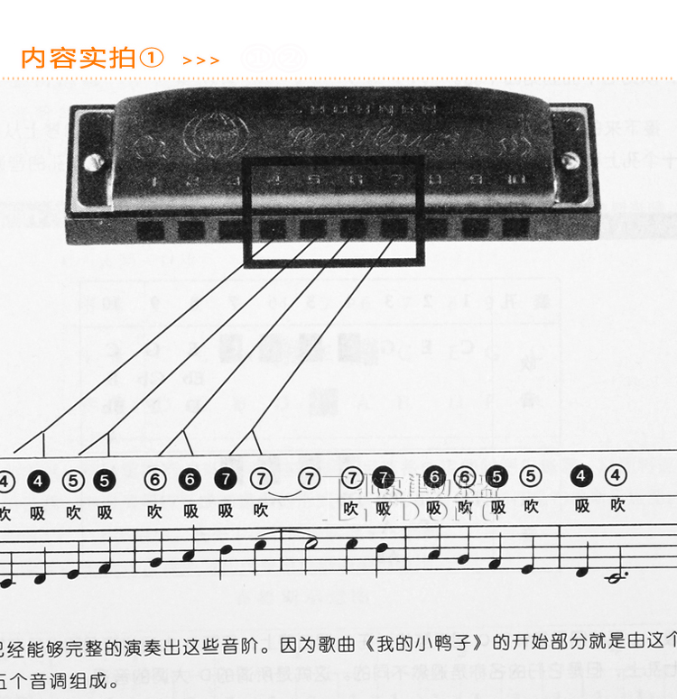 口琴初学者适合学10孔口琴还是24孔口琴(能吹流行曲子